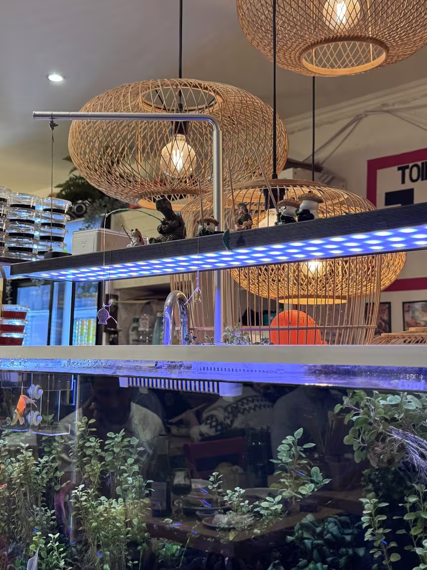 Restaurant Wen Zhou Mei Shi Lin - Image 2