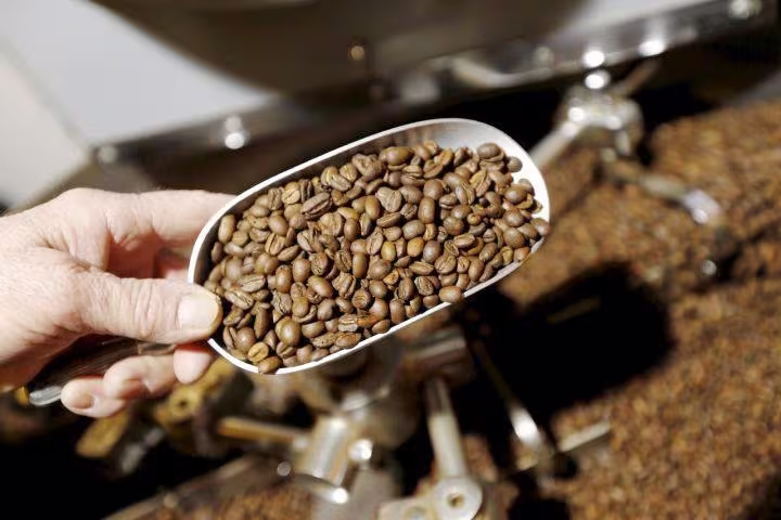 La Brulerie du Rendez-Vous / Artisan torréfacteur - Image 2