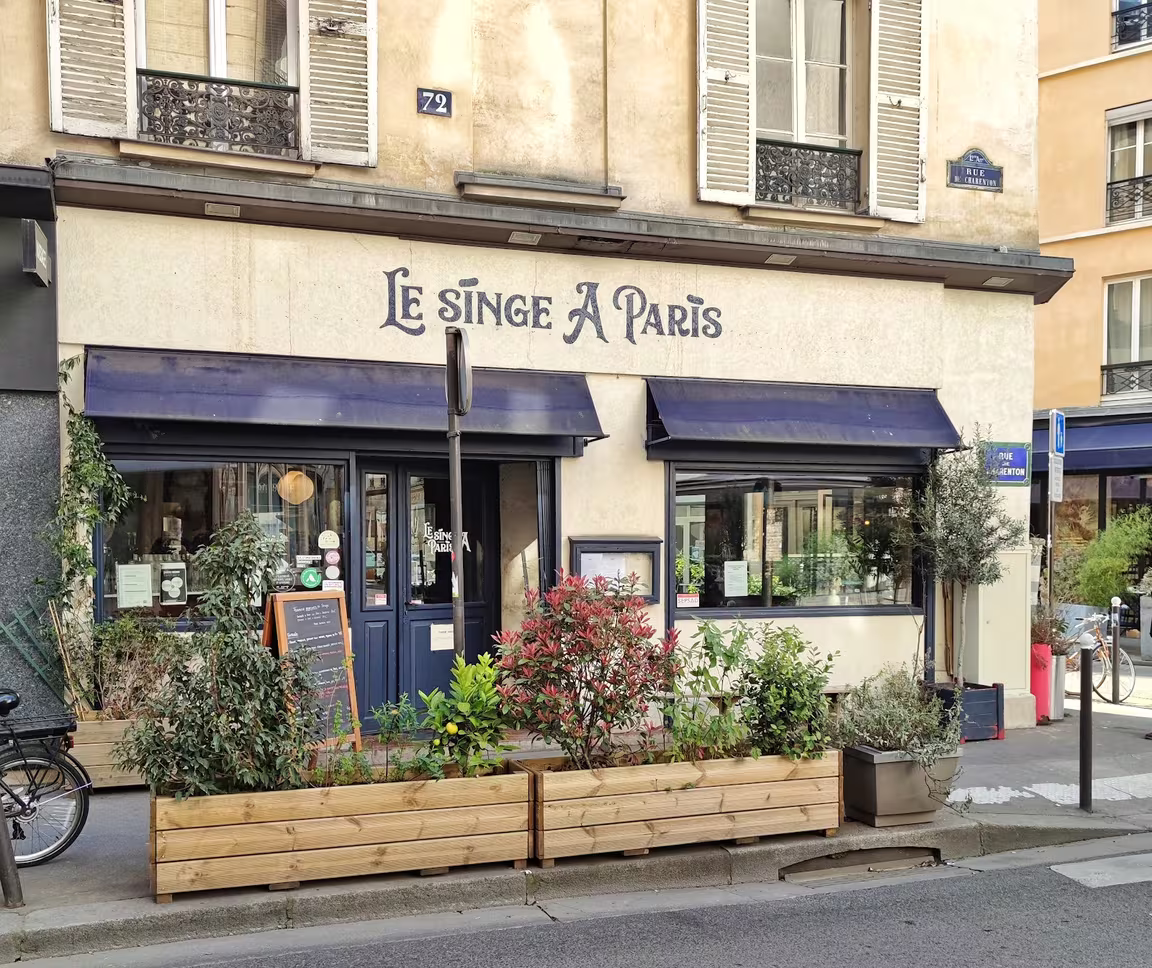 LE SINGE A PARIS - Image 3