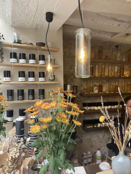 Kodama Tiquetonne - Image 3