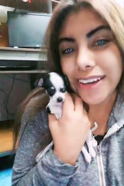 tiktok video