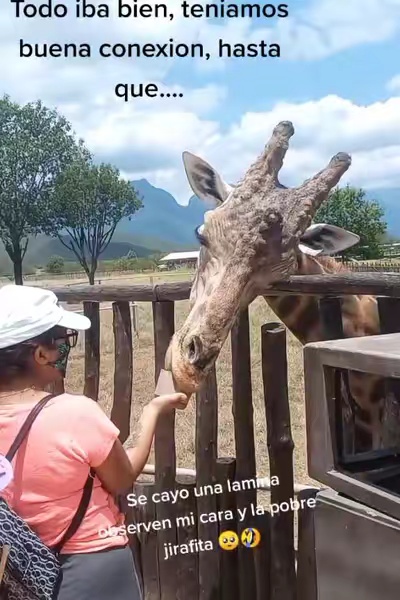 tiktok video