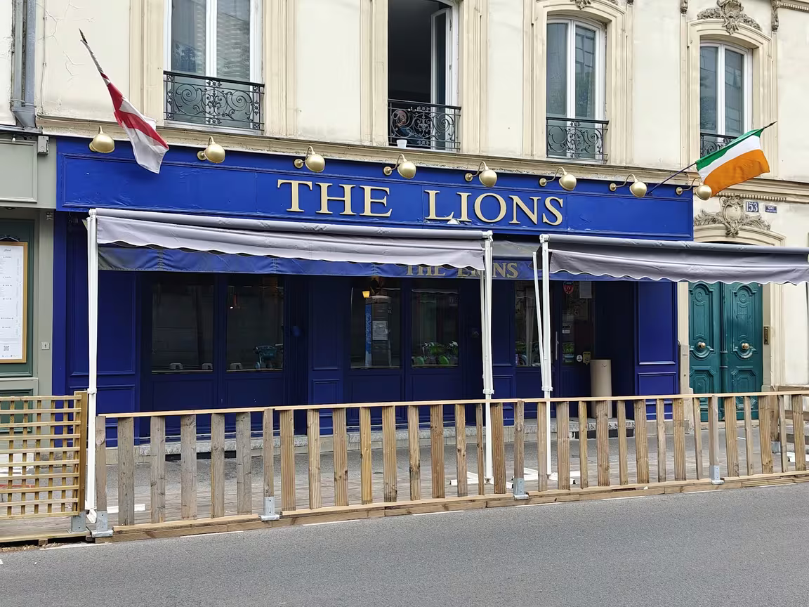 The Lions - Image 3