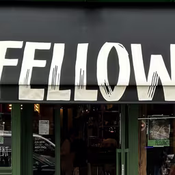 Fellows