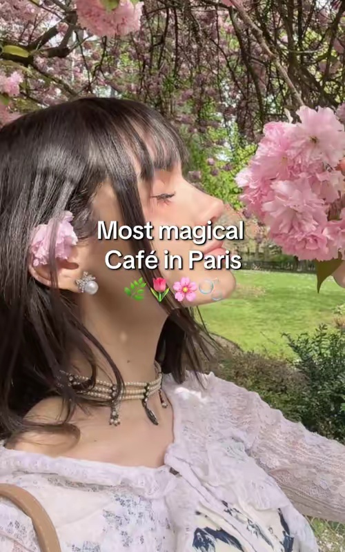 tiktok video