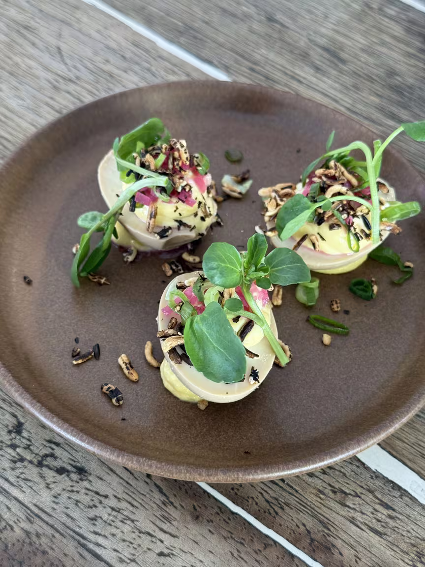 Le Mary Celeste - Image 3