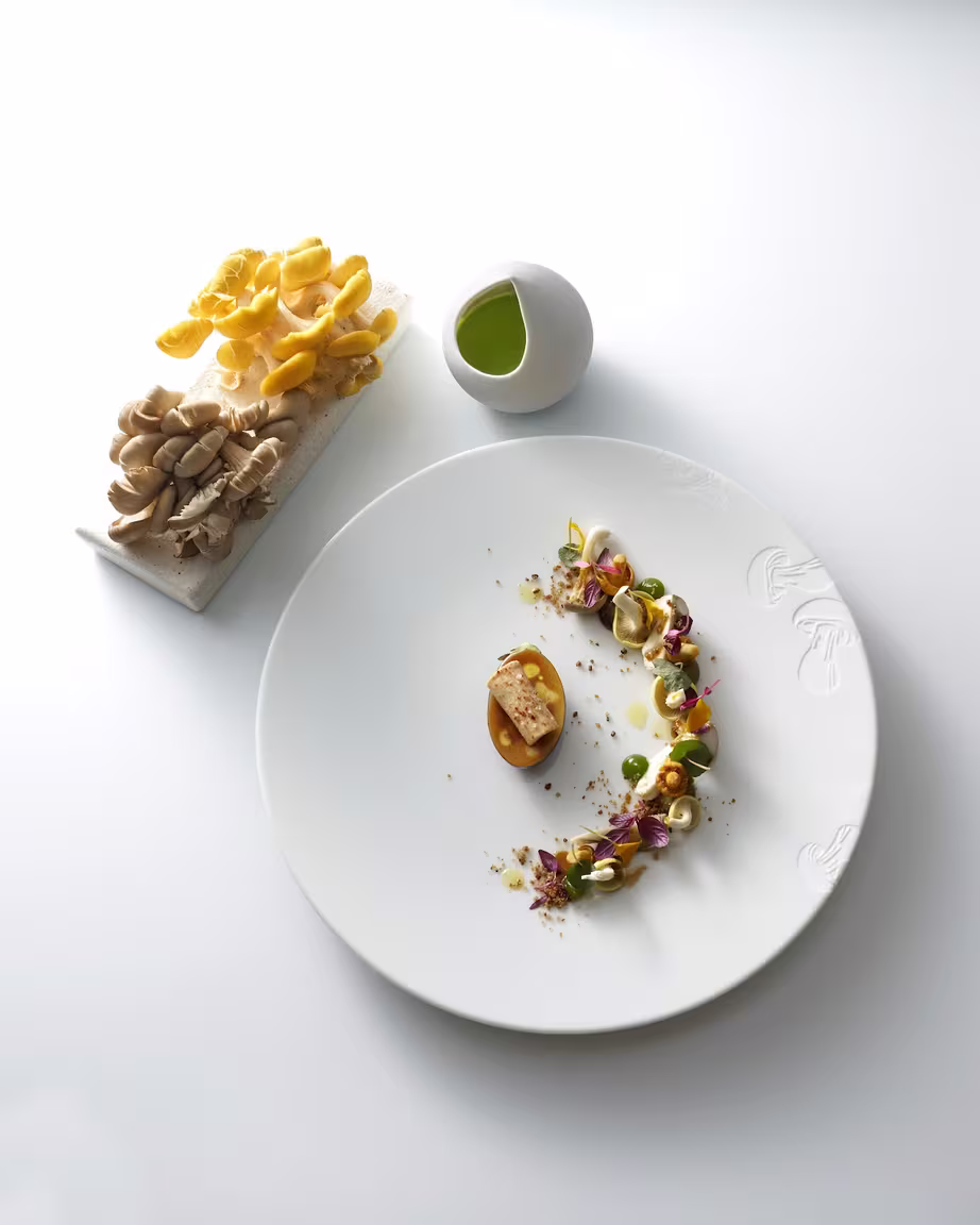 L'Oiseau Blanc - Image 2