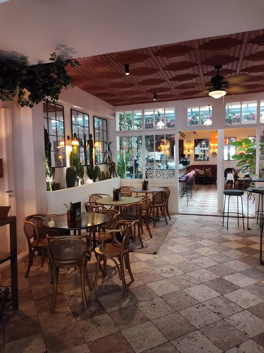 Tigermilk Canal - Image 2