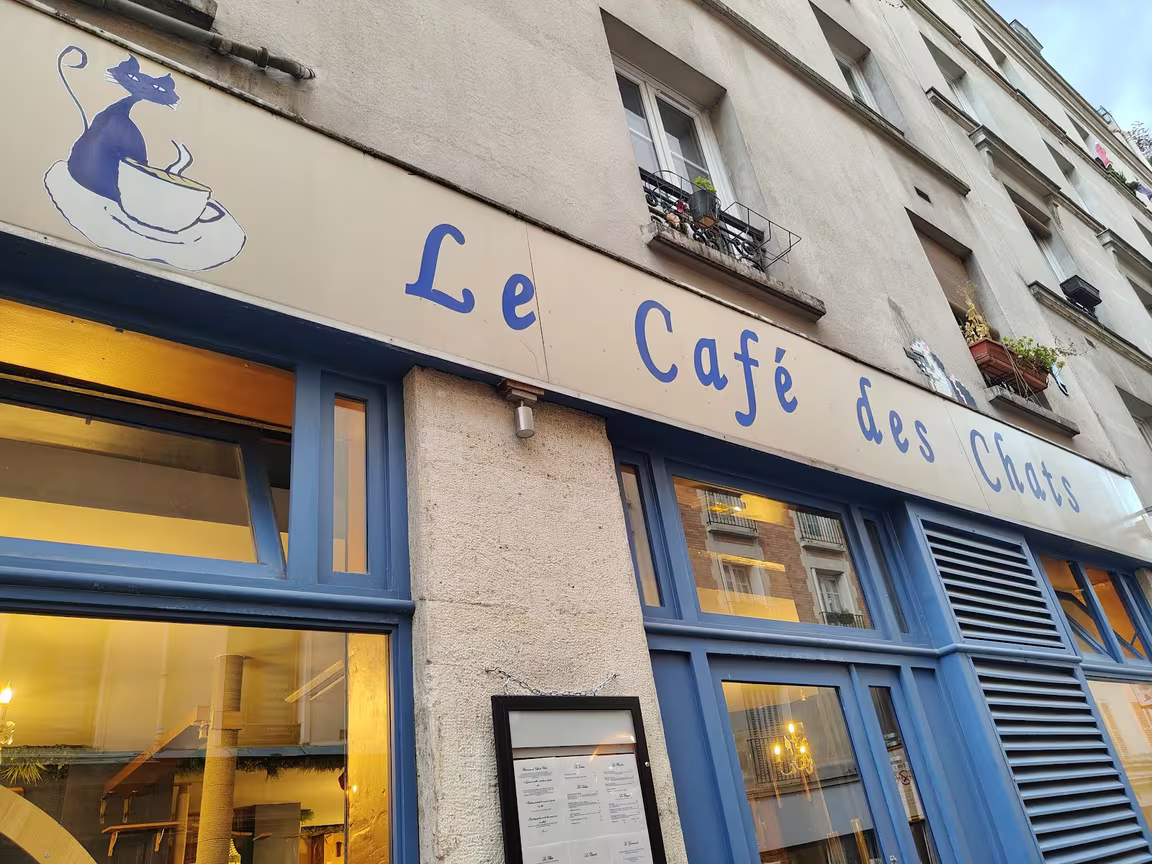 Le Café des Chats - Image 3