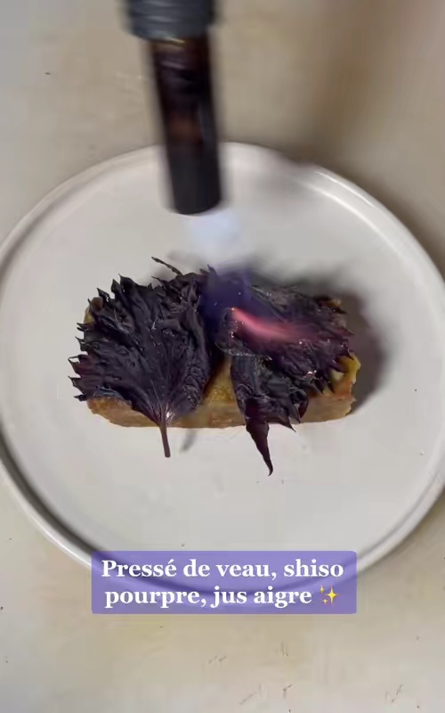 tiktok video