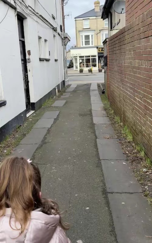 tiktok video