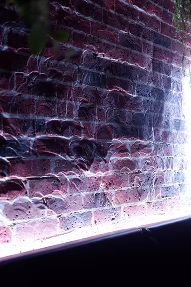 Bar Nouveau - Image 3