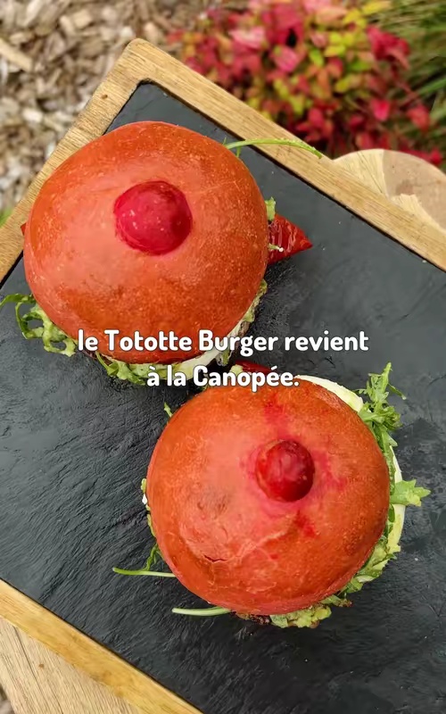 tiktok video