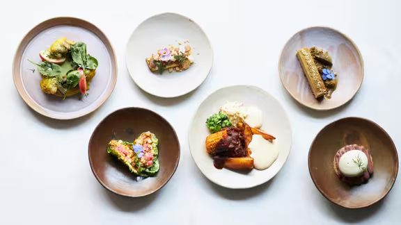 Bleu Canard - Image 2