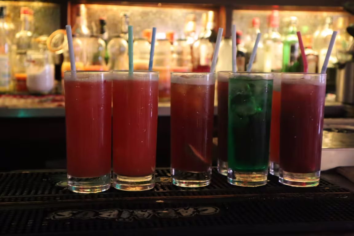 The Crocodile - Image 2