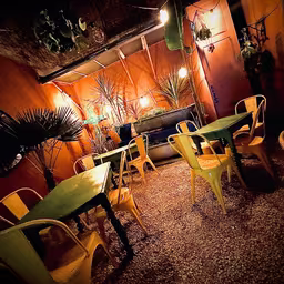 QU'EST CE QUE TU MIJOTES ?!