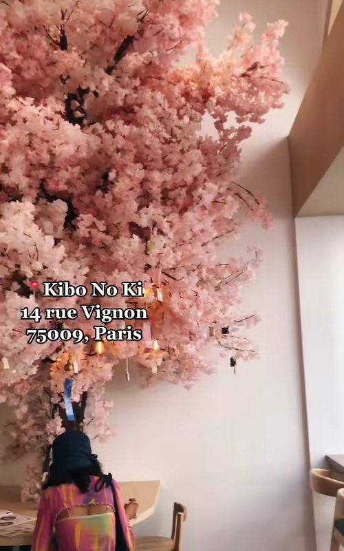 tiktok video