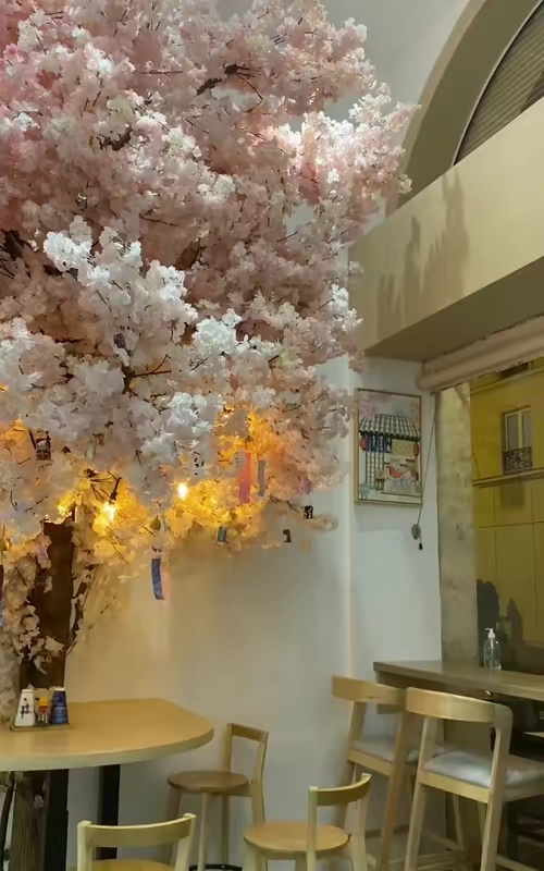 tiktok video