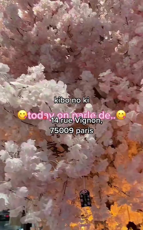 tiktok video