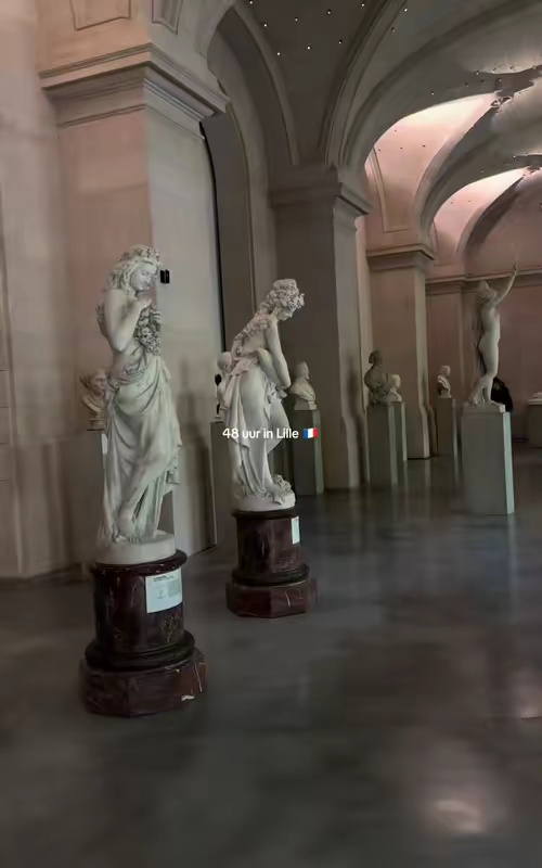 tiktok video