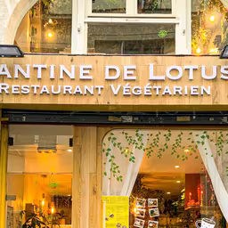 cantine de lotus