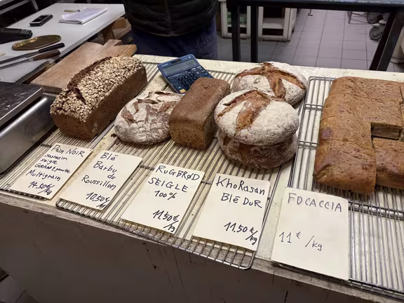 Shinya Pain - Image 3