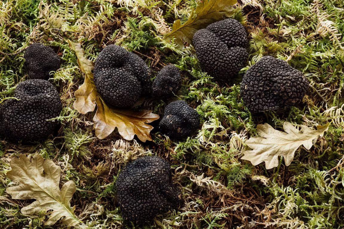 Artisan de la Truffe Marais - Image 3