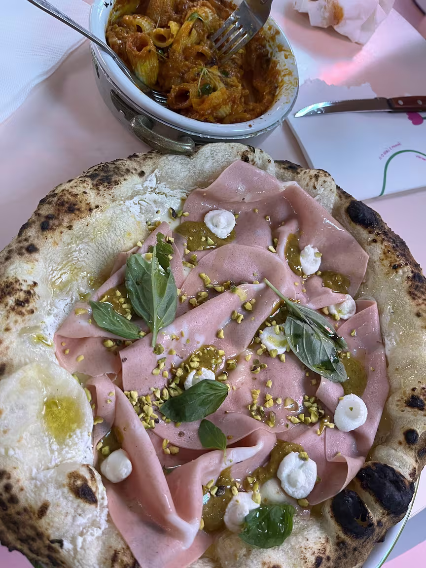 Dalmata Paris 2 - Image 3