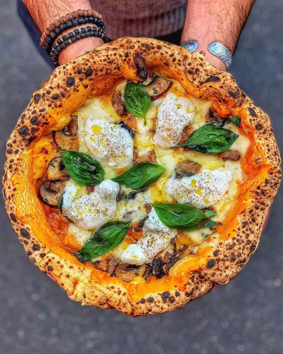 Dalmata Paris 2 - Image 2