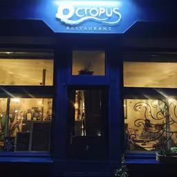 Octopus