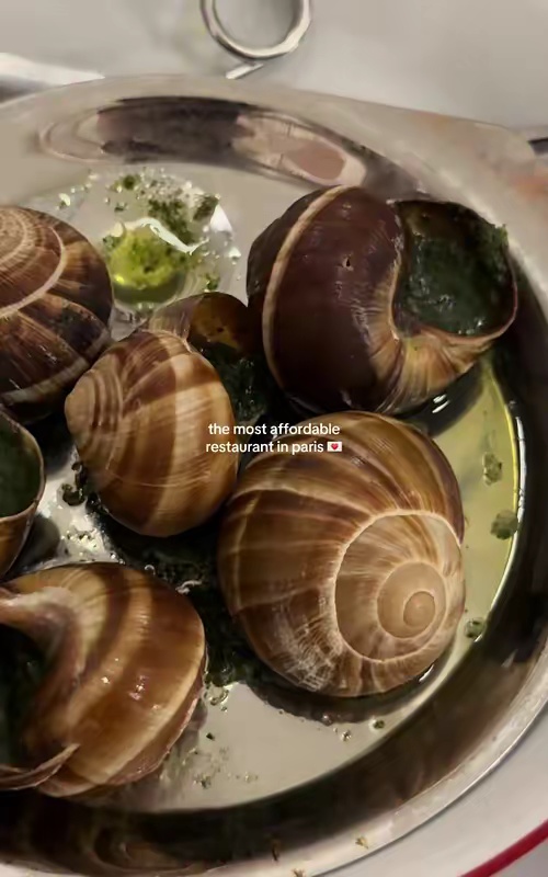 tiktok video