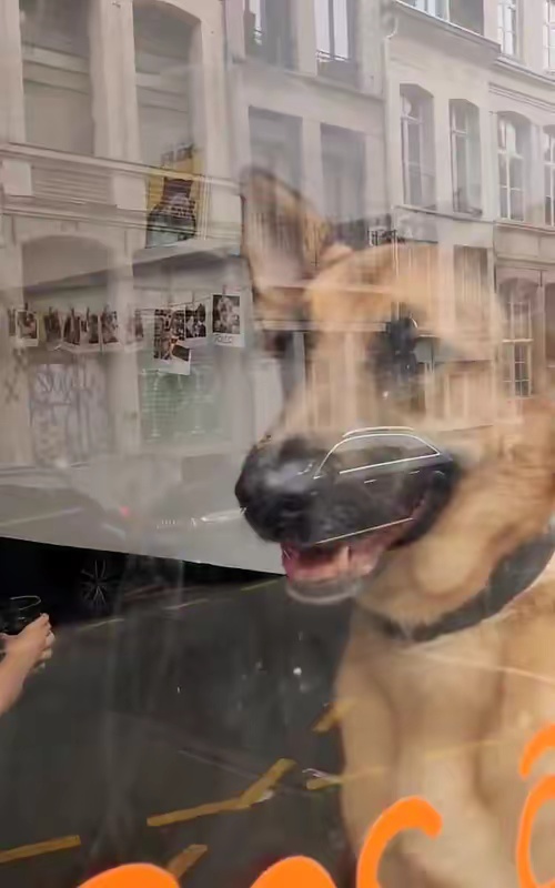 tiktok video