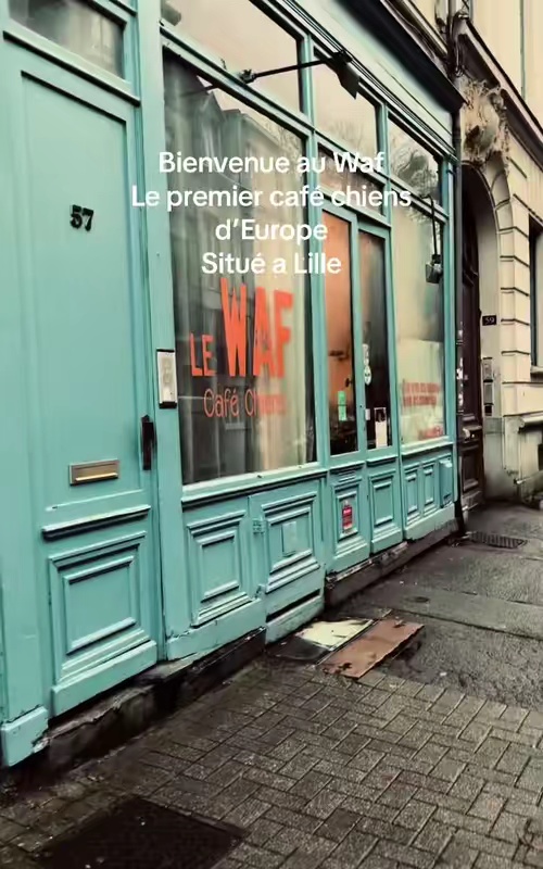 tiktok video