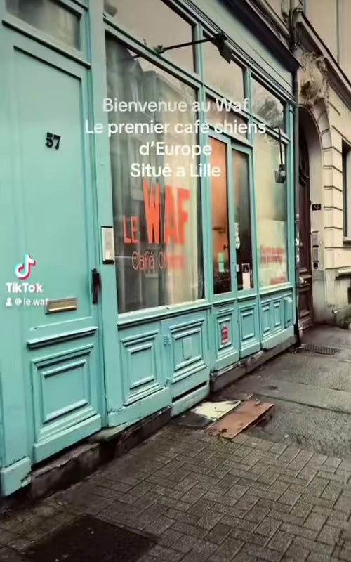 tiktok video