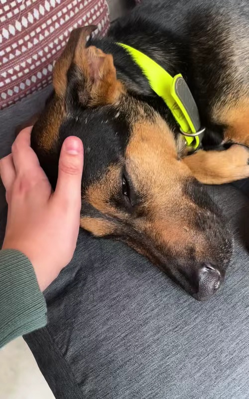 tiktok video