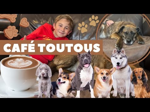 ON TESTE LE PREMIER CAFÉ CHIEN D'EUROPE !!!