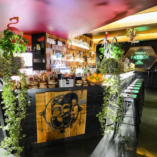 Creative cocktail bars in Lille