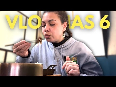 ON TESTE LE MEILLEUR BBQ CORÉEN DE LILLE ! (Le SERVEUR est incroyable) VLOGMAS 6