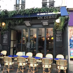 Un Zèbre à Montmartre