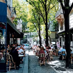 Le Cépage Montmartrois