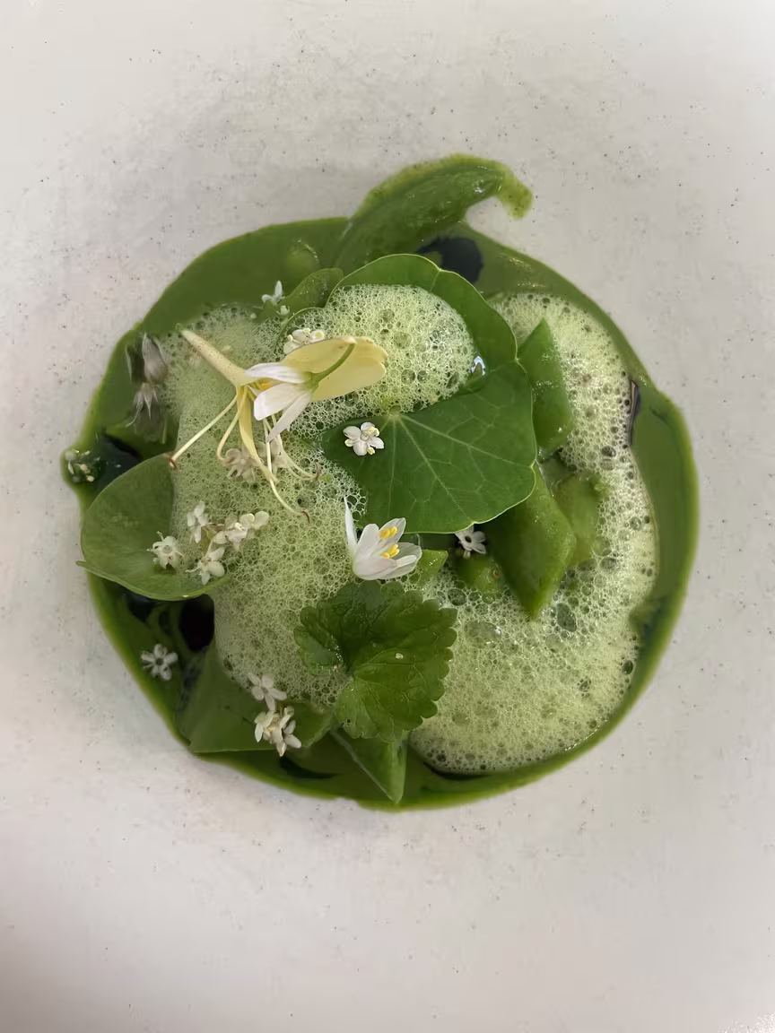 Le Boréal - Image 3