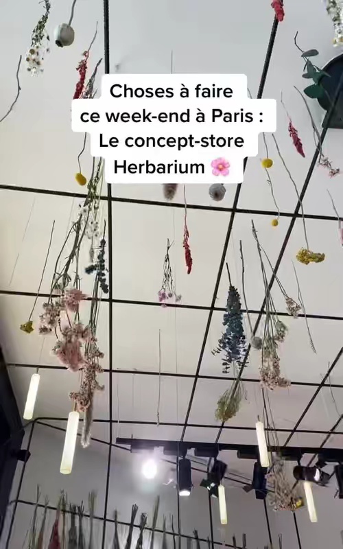 tiktok video