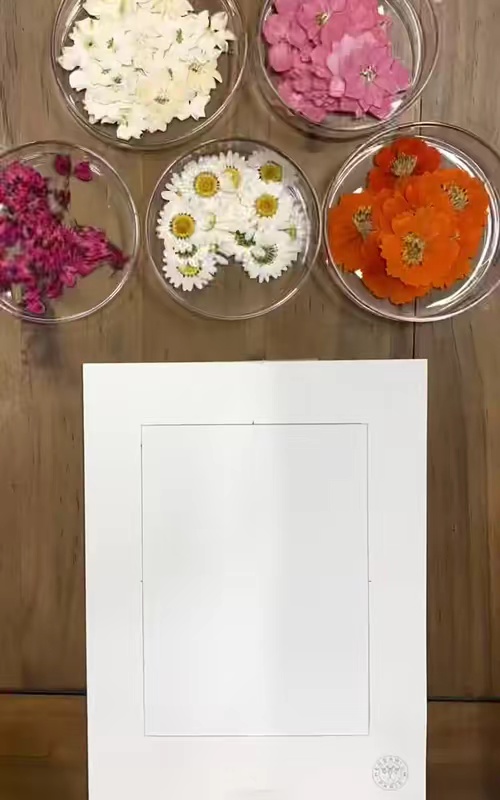 tiktok video