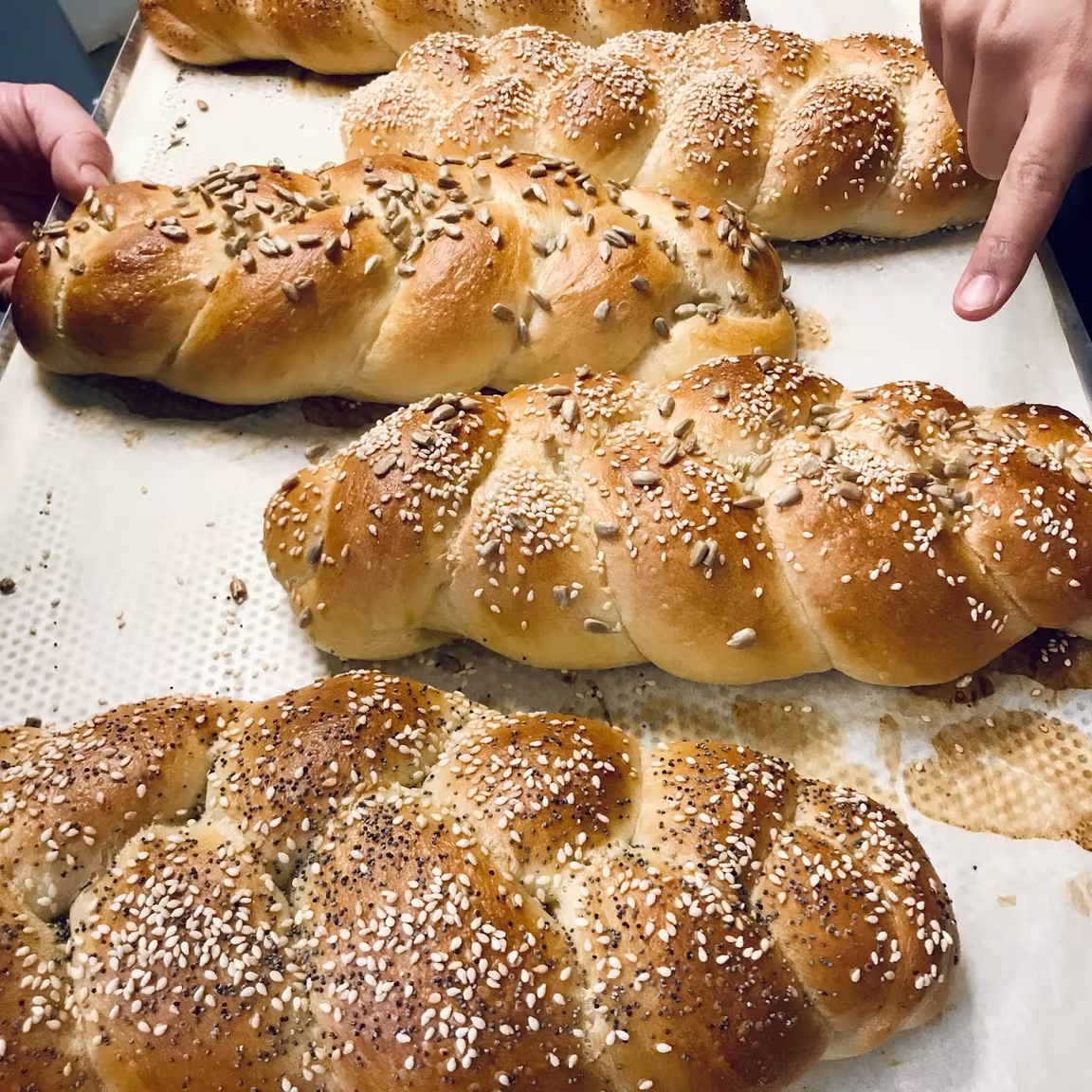 Babka Zana - Image 2