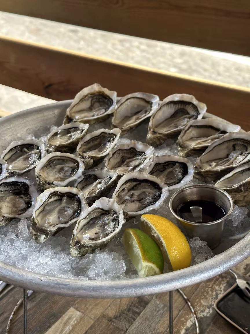 Bulot Bulot - Image 3