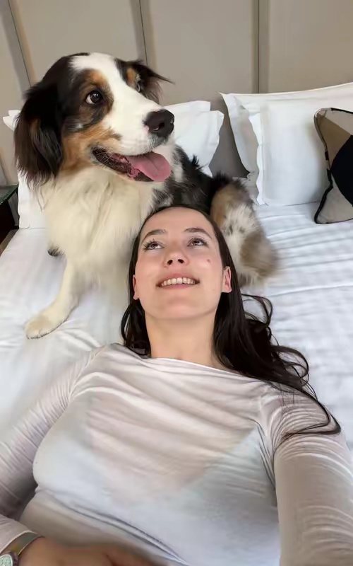 tiktok video