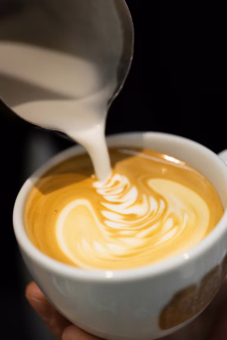 Terres de Café - Image 2