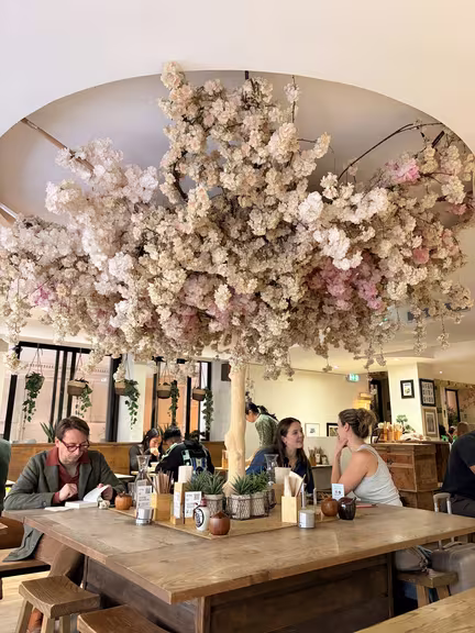 Neko Ramen - Image 2