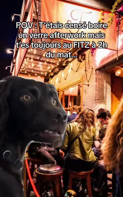 tiktok video