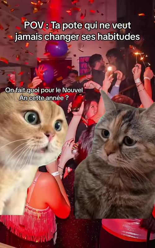 tiktok video
